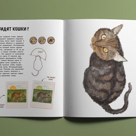 разворот познавательной non-fiction книги "Мир глазами животных",верстка