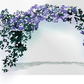 Сирень, арка, вектор