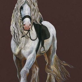 Лошадь белая