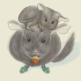 шиншиллы семейство