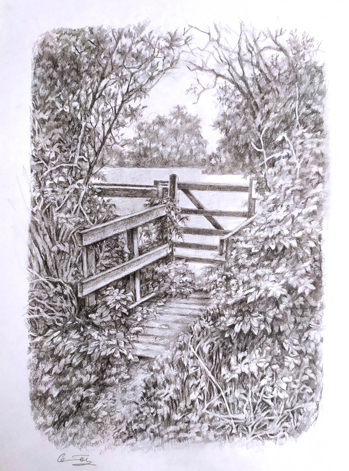 Калитка.Англия,2019 год