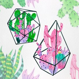 Яркие кактусы