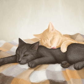 Кокос и Шкода