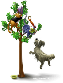 Приехала киска в большой город