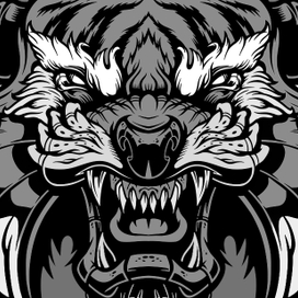 Angry tiger - redraw