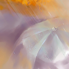 Подсолнечный зонтик