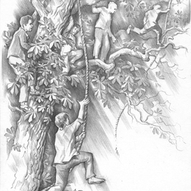 Грозовые раскаты. 5