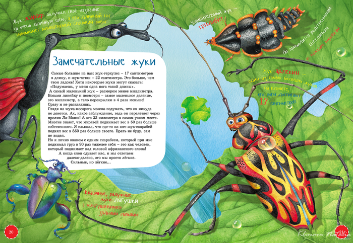 Иллюстрация к книге " Я-Жук"