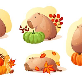 Осенние капибары