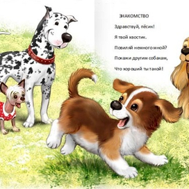 Сю-сю (про собачек)