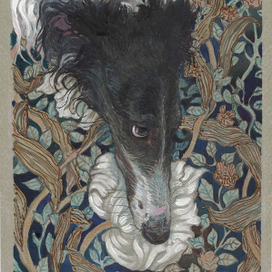 портрет борзой Загадки