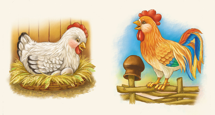 Курочка, петушок