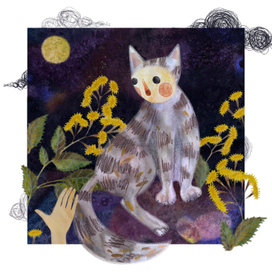 Хроники ночных происшествий