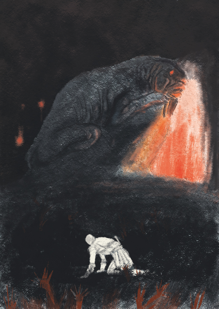 Страж северо-запада