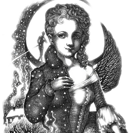 "Красные розы Казановы". Иллюстрация.