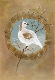 Белая куропатка