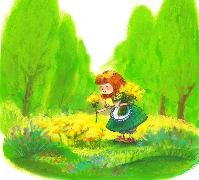 Полевые цветы