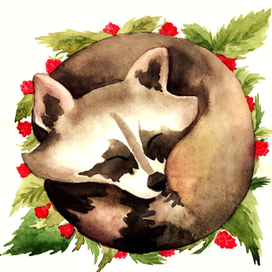 Енот в малине