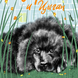 Обложка для книги "Чарли и Цыган"