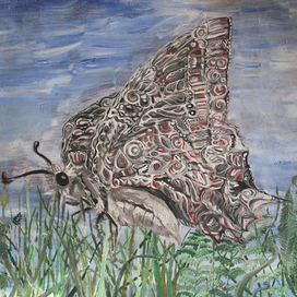 Бабочка - мечта