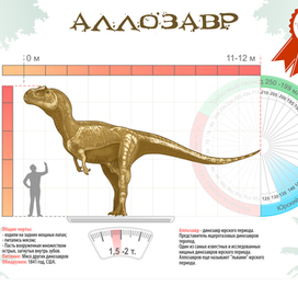 Детские развивающие карточки