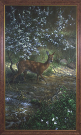 Весенние тени