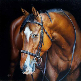 Картина с лошадью «Моргентаун»