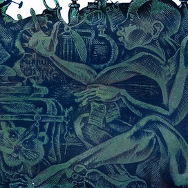 Родентология