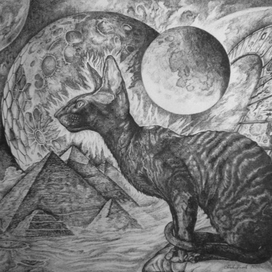 Галактический кот