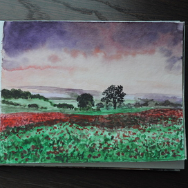 маковое поле