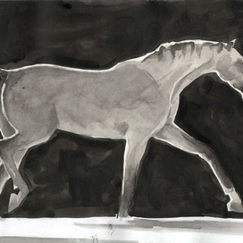 Графическая работа