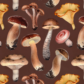 Акварельные иллюстрации грибов