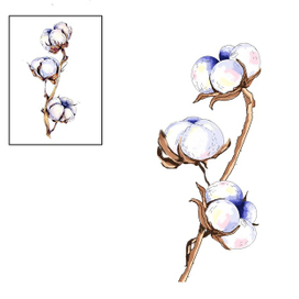 Хлопковая ветвь