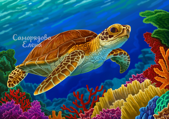 Морская черепаха