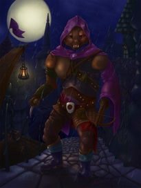 Лазутчик на ночных крышах