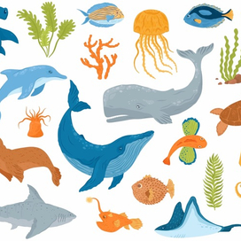 морские животные