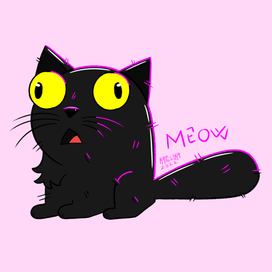 котячье безумие 