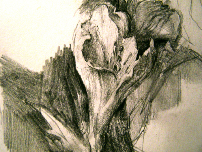 Альстромерия