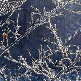 Зимние узоры ...