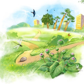 иллюстрация к книге