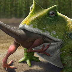 Мадагаскарский гигант