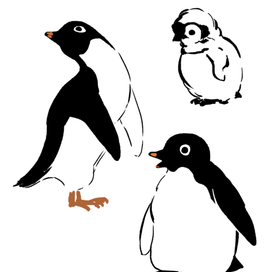 penguins :)