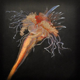 Глубоководное