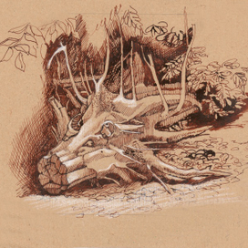 Случайный... 