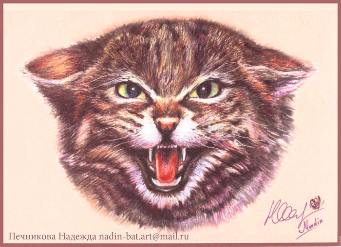 Дикая кошка.