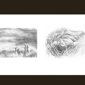 иллюстрации