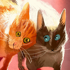 Валентиновы коты