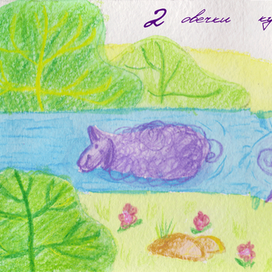 2 овечки купались в речке