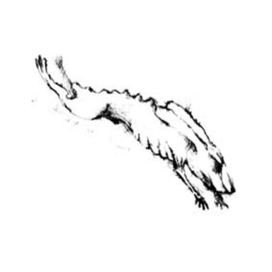 Иллюстрация для книги Йена Бенкса. Осиная фабрика