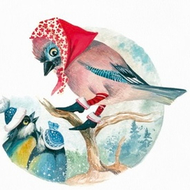 Сойка. Лесная столовая 